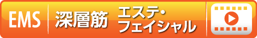 モバイルバイオフェイシャル編